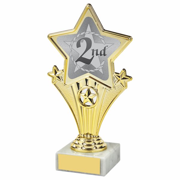 2nd Place Fun Star Award 1112V