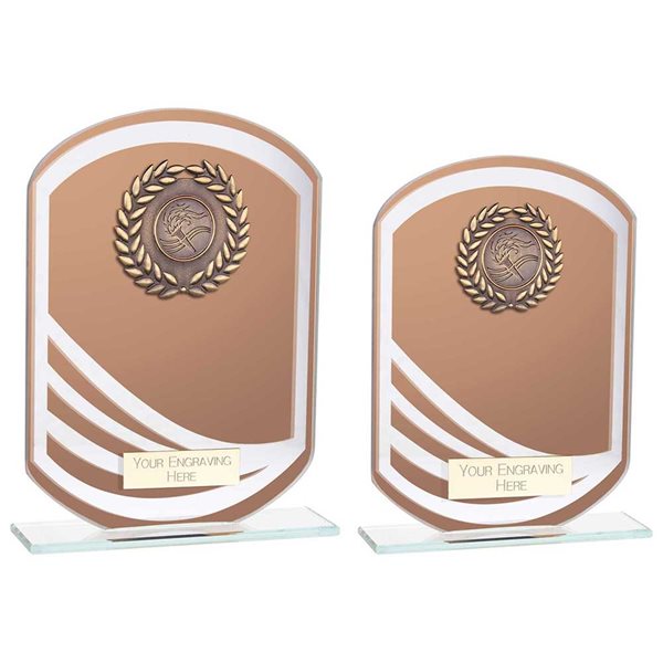 Economy Bronze Mirrored Glass Award with Gold Wreath CR23578