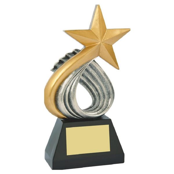 Gold and Silver Resin Star Award RS843