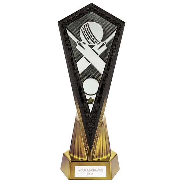 Inferno Cricket Award PA24029