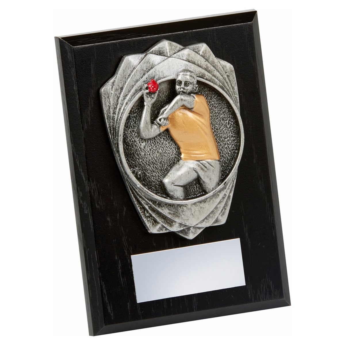 Cricket Bowler Wooden Plaque Award 1786