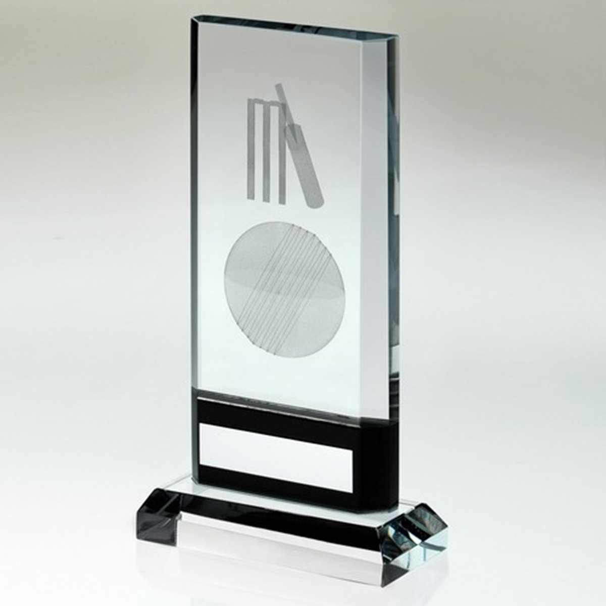 Cricket Glass Award JR6-TD406