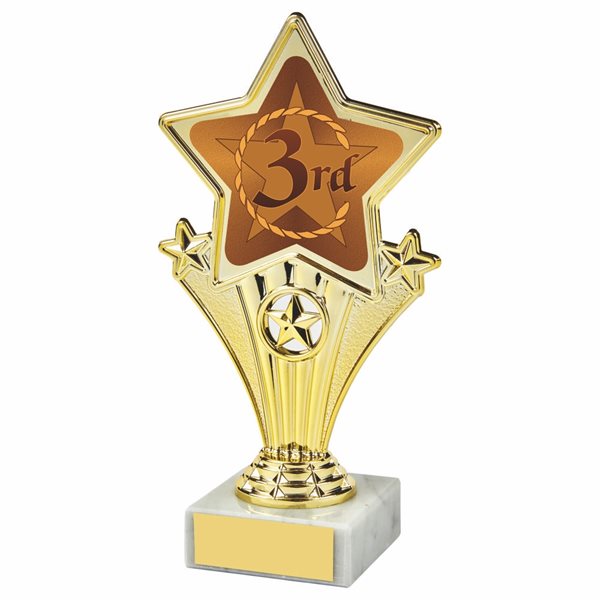 3rd Place Fun Star Award 1112W