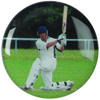 Cricket (PA4P)