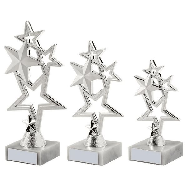Silver Shooting Star Award 626