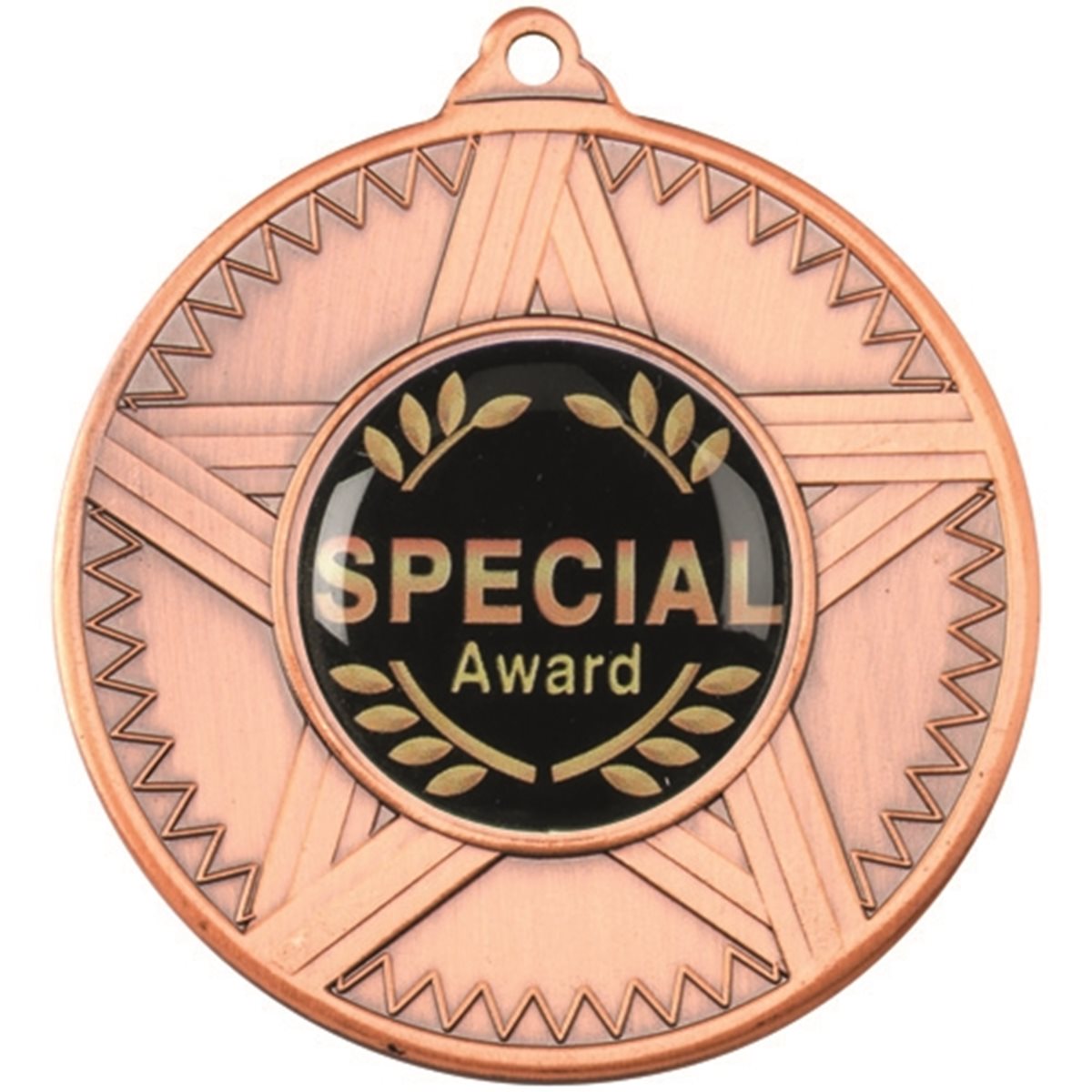 Special Award B.jpg