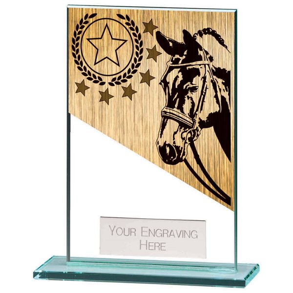 Mustang Glass Equestrian Award CR22215 (5mm glass)