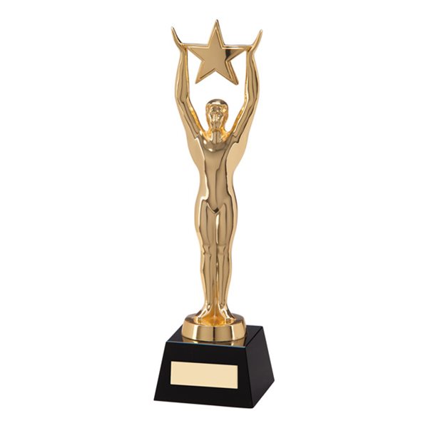 Accolade Gold Achievement Award CR17124