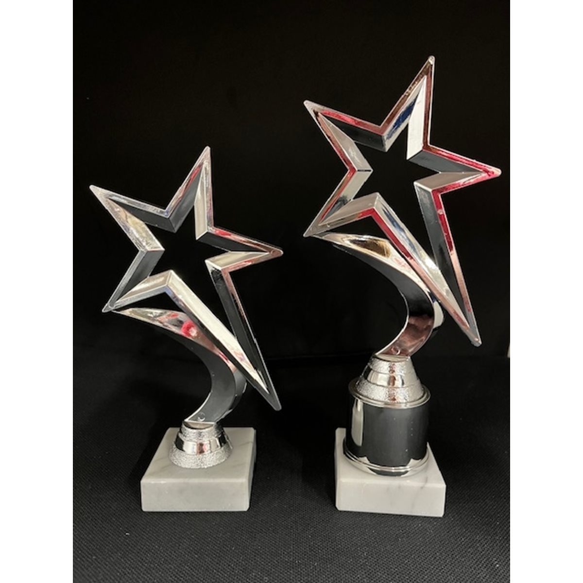 Silver Star Award CL1107