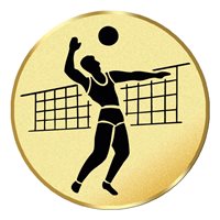 Volleyball (J17378A)