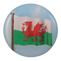 Welsh Flag Centre (PA6W)