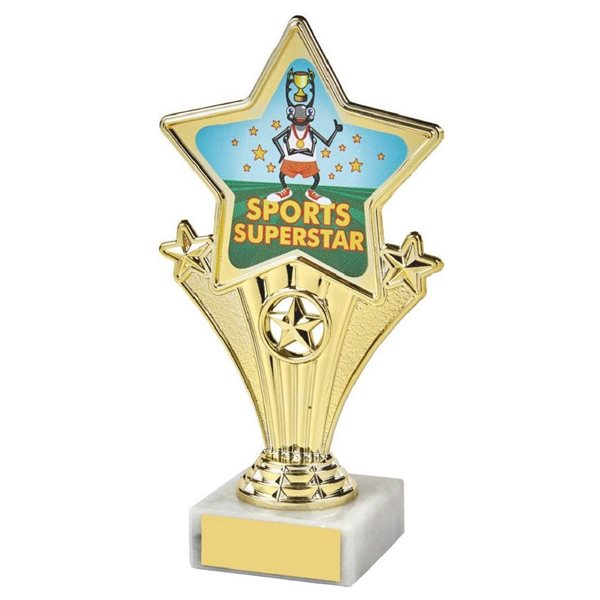 Sports Superstar Fun Star Award 1112S