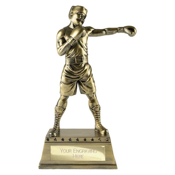 Boxing Classic Award RF26046