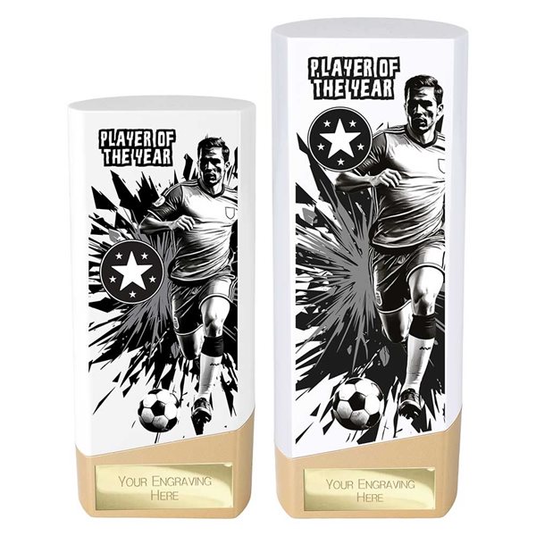 White and Gold Prime Player of the Year Award PW26130