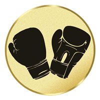 Boxing Gloves (J17319A)