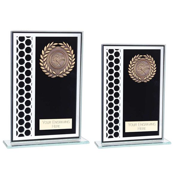 Economy Black Mirrored Glass Award with Gold Wreath CR23576