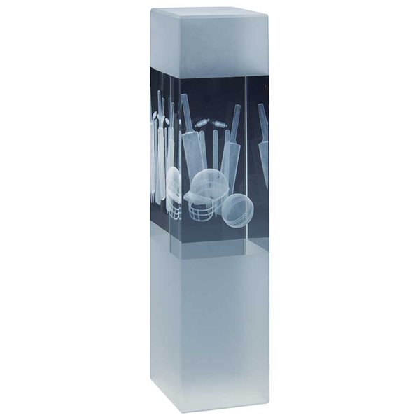 Arctic Blast 3D Cricket Glass Award CR24178