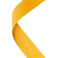 Yellow Ribbon (MR28)