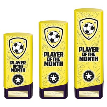 Player of the Month Football Trophies