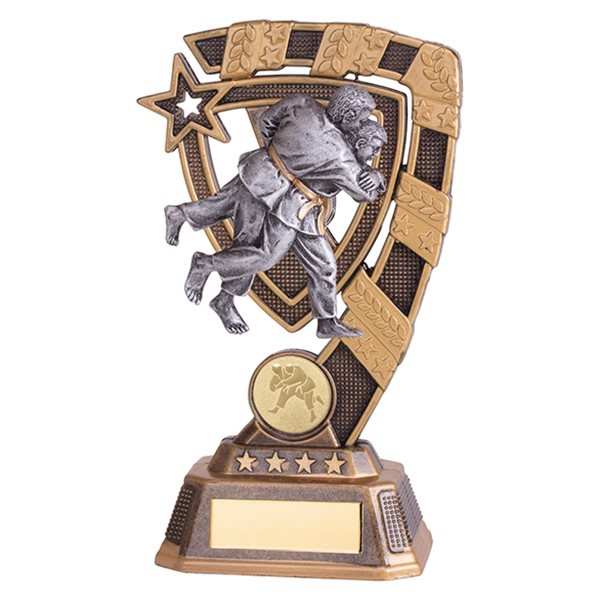 Gold and Silver Resin Judo Trophy RF18029