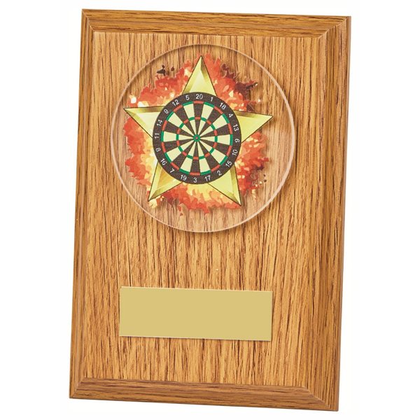 Darts Wooden Plaque Award 1669