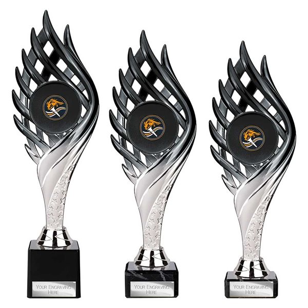 Wildfire Black & Silver Award TR26555