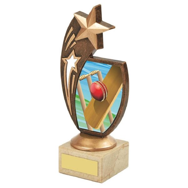 Cricket Star Award 776