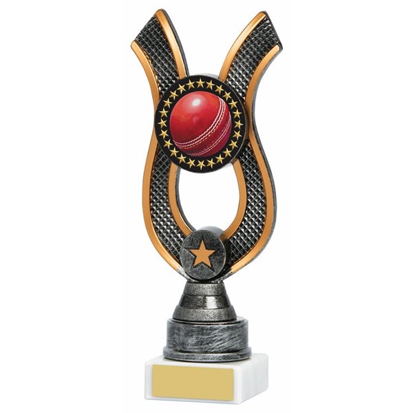 Cricket Antique Silver Ribbon Award 1663