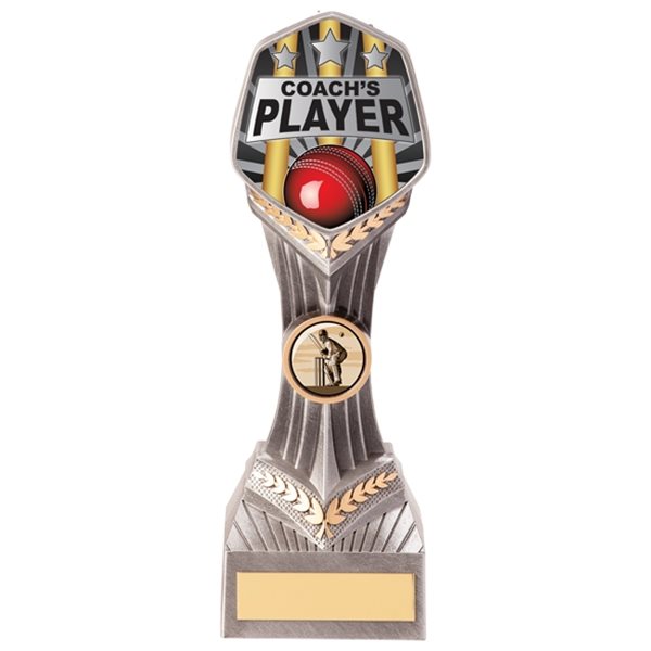 Falcon Coach's Player Cricket Trophy PA20604