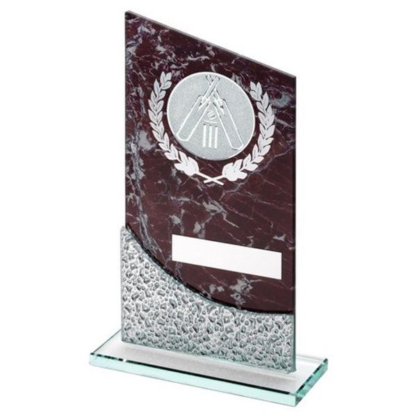 Cricket Glass Award JR6-TD559G