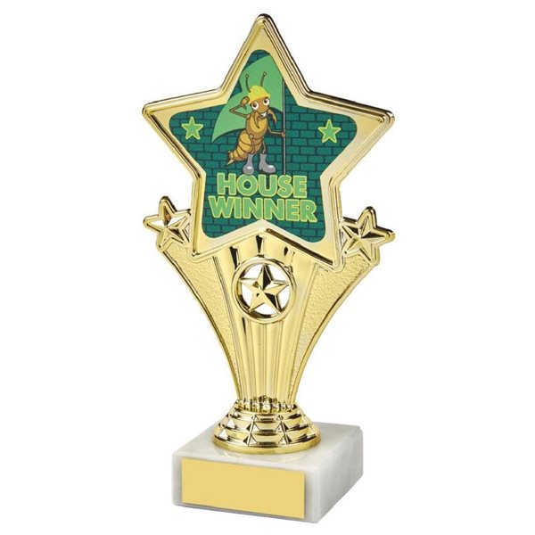 House Green Fun Star Award 1112J
