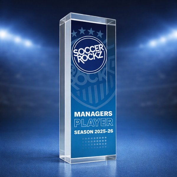 ACRYLIC Block Award - Colour Print