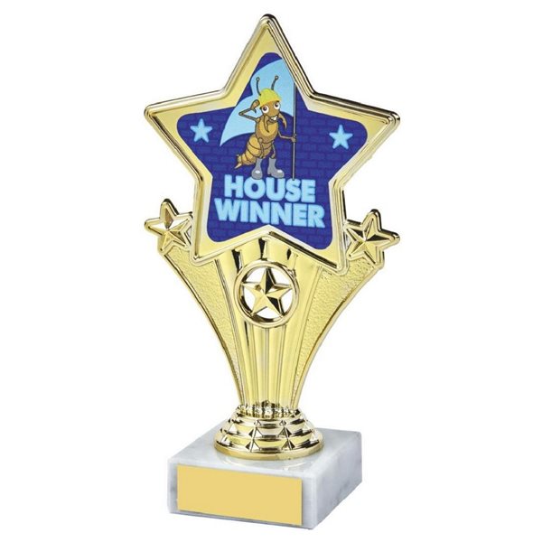 House Blue Fun Star Award 1112I