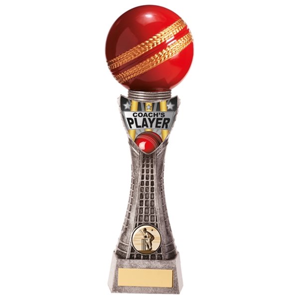 Valiant Coach's Player Cricket Trophy PM20629