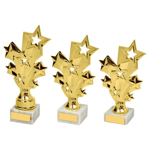 Gold Shooting Star Award 1306