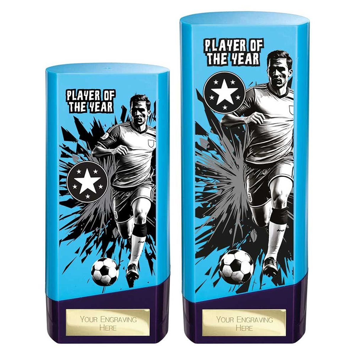 Blue and Purple Prime Player of the Year Award PX26130