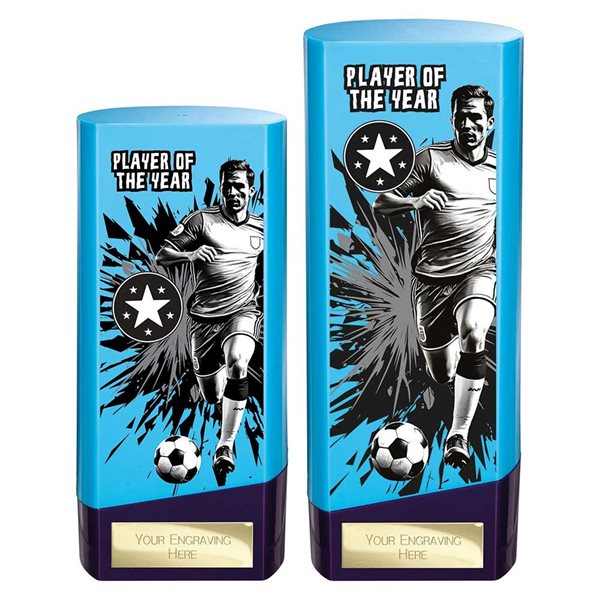 Blue and Purple Prime Player of the Year Award PX26130