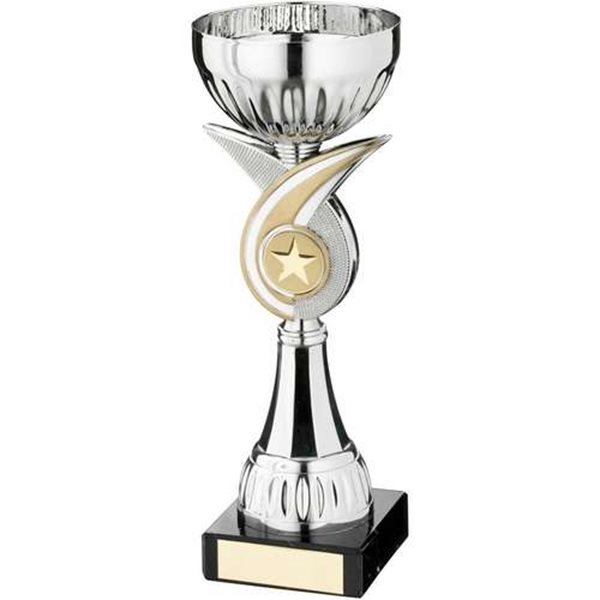 Gold & Silver Presentation Cup on Marble Base JR22-AT26
