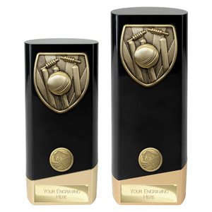 Black and Gold Prime Heavyweight Cricket Award PK24209