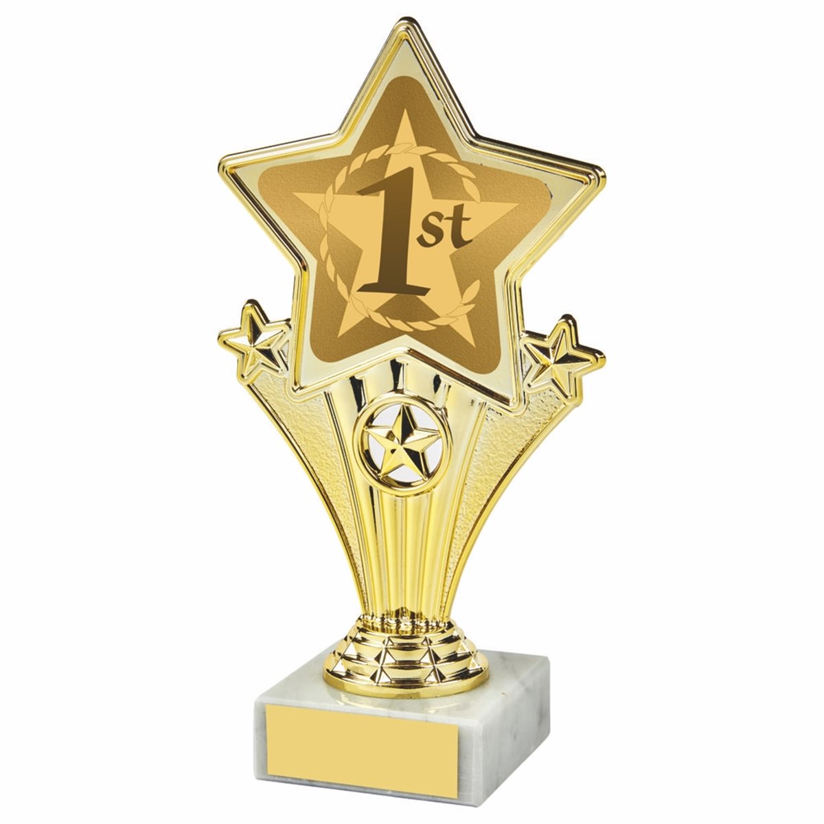1st Place Fun Star Award 1112T