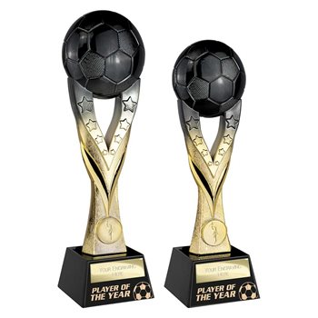 Player of the Year Football Trophies