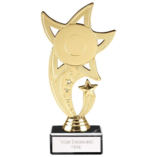 Gold Multi Achievement Award TR24502