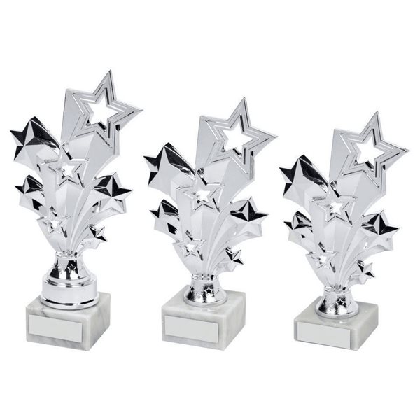 Silver Shooting Star Award 1307