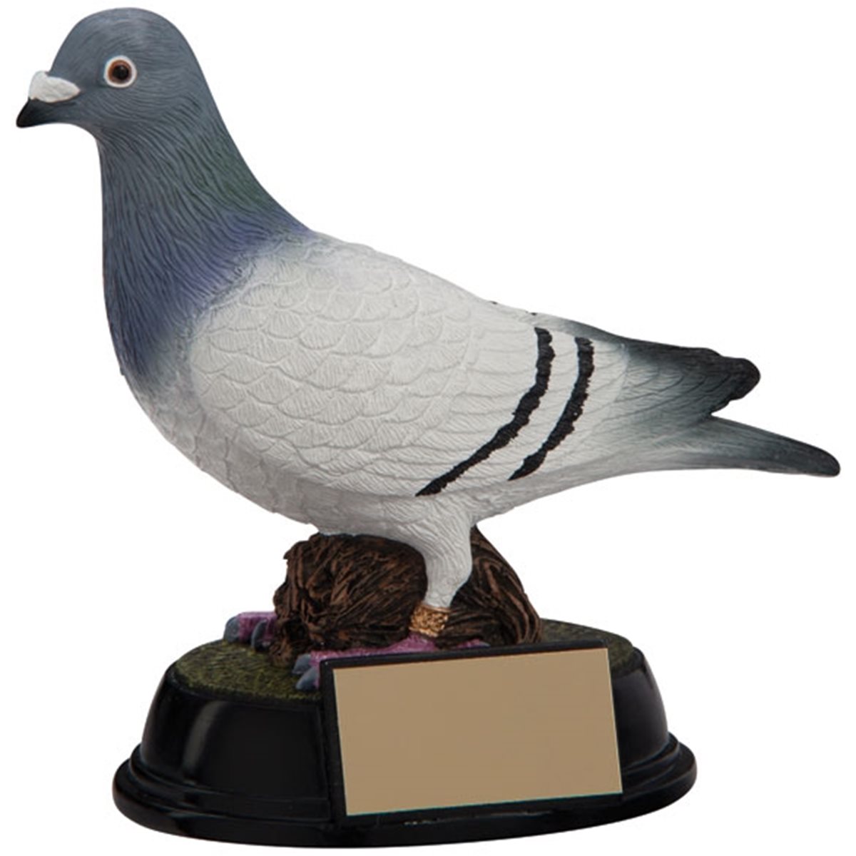 Pigeon Resin Trophy RF4157