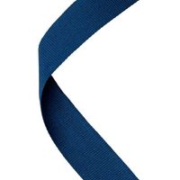 Navy Blue Ribbon (MR31)