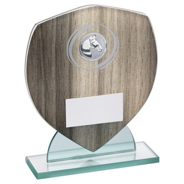 Equestrian Glass Award JR20-TD459G