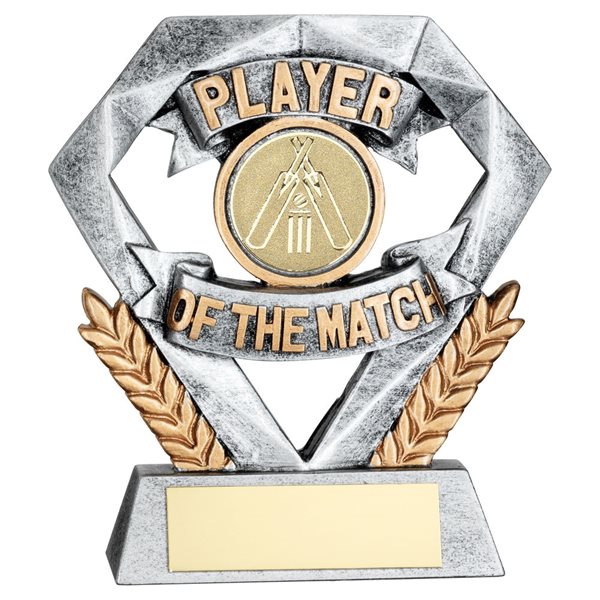 Mini Diamond Player of the Match Cricket Award JR6-RF700P28