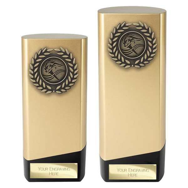 Gold Prime Heavyweight Mutlisport Award PA25658