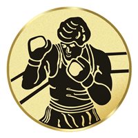 Boxing (J17318A)