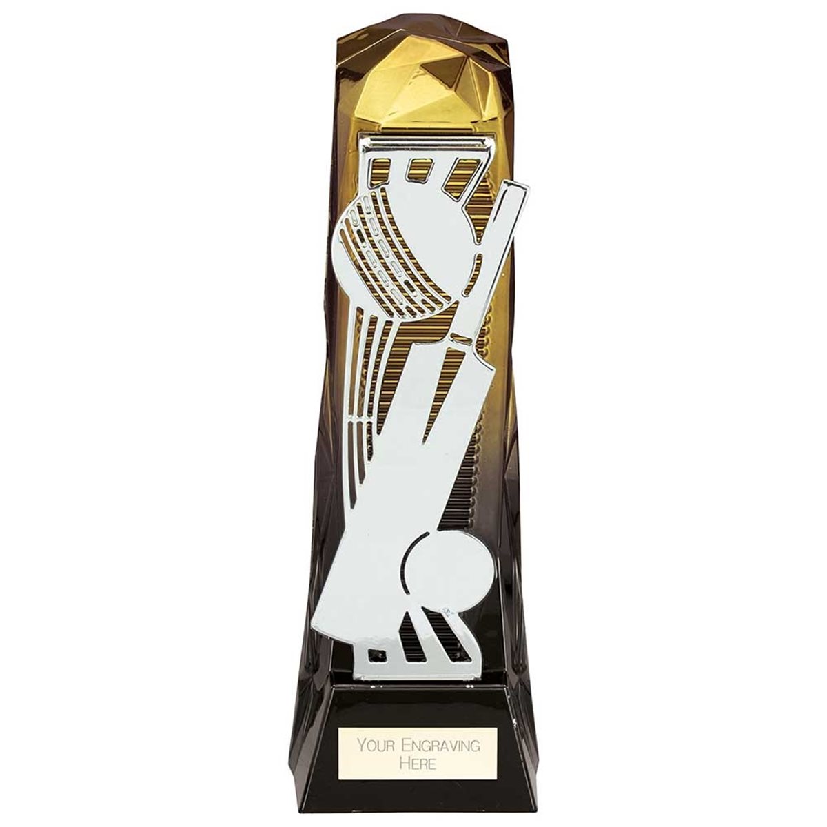 Fusion Shard Cricket Award PA24021